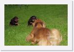 yea,-uncle-Charlie-is-playi * 432 x 284 * (36KB)